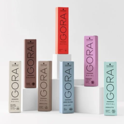 Schwarzkopf Professional Igora Royal Permanent თმის საღებავი 6-0 60მლ